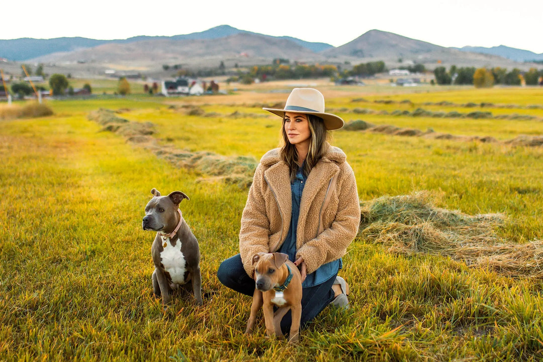 Rescue Stories Blog The Gentle Pit