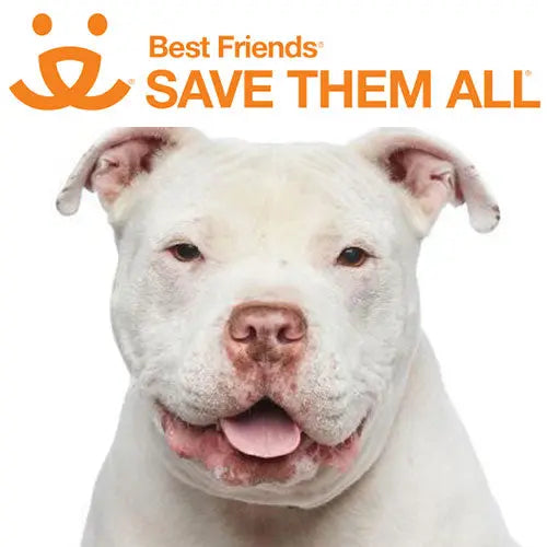 Pupdates The Gentle Pit