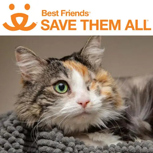 Pupdates The Gentle Pit