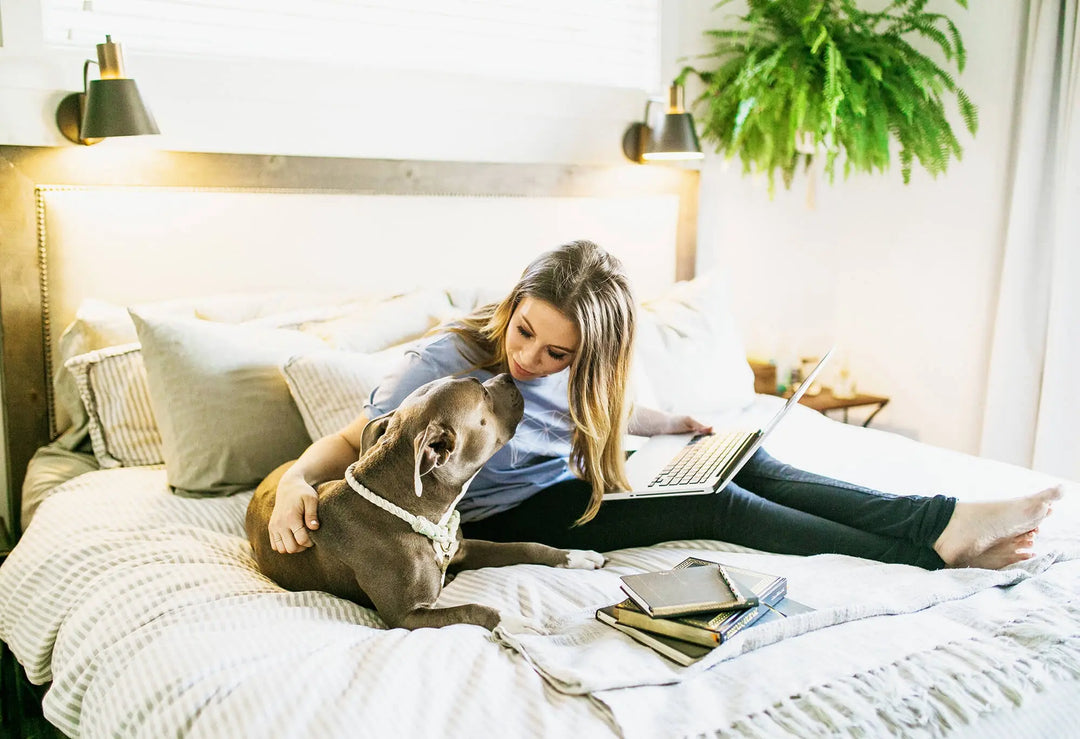 The concept of uniting pit bulls with beautiful things evolved into a The Gentle Pit, a brand dedicated to supporting dog rescue.