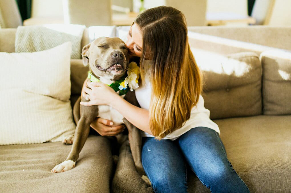 The Gentle Pit is on a mission to change the pit bull stigma by associating pibbles with positive and beautiful things.