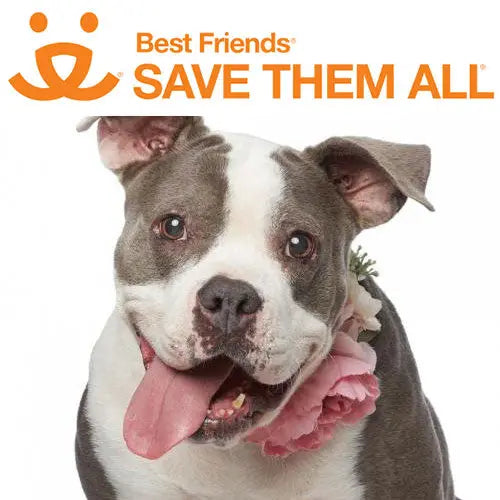 Pupdates The Gentle Pit