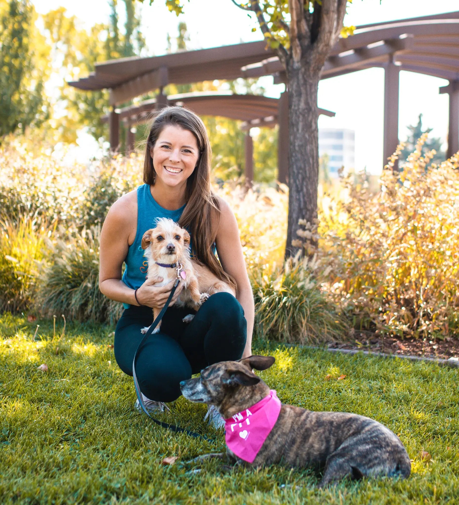 Rescue Stories Blog The Gentle Pit