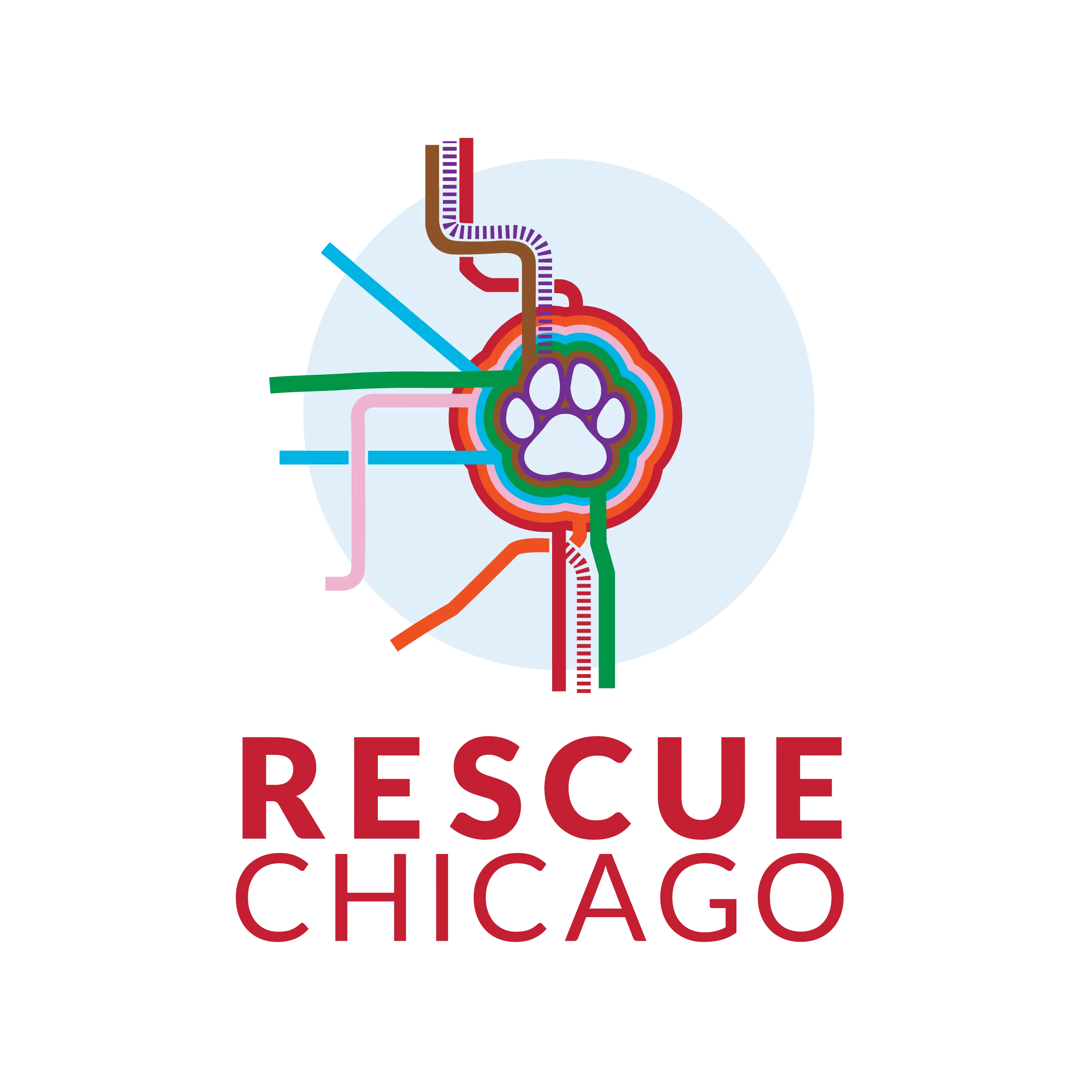 The Gentle Pit Blog The Gentle Pit