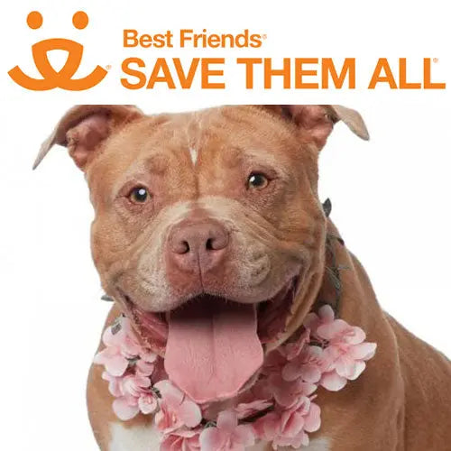 Pupdates The Gentle Pit