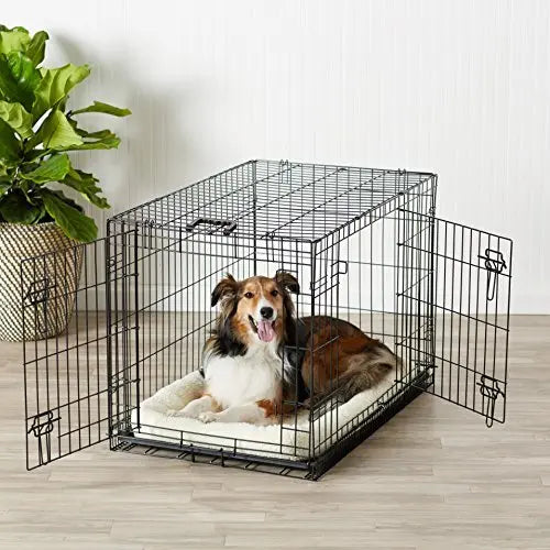 The Gentle Pit Blog The Gentle Pit