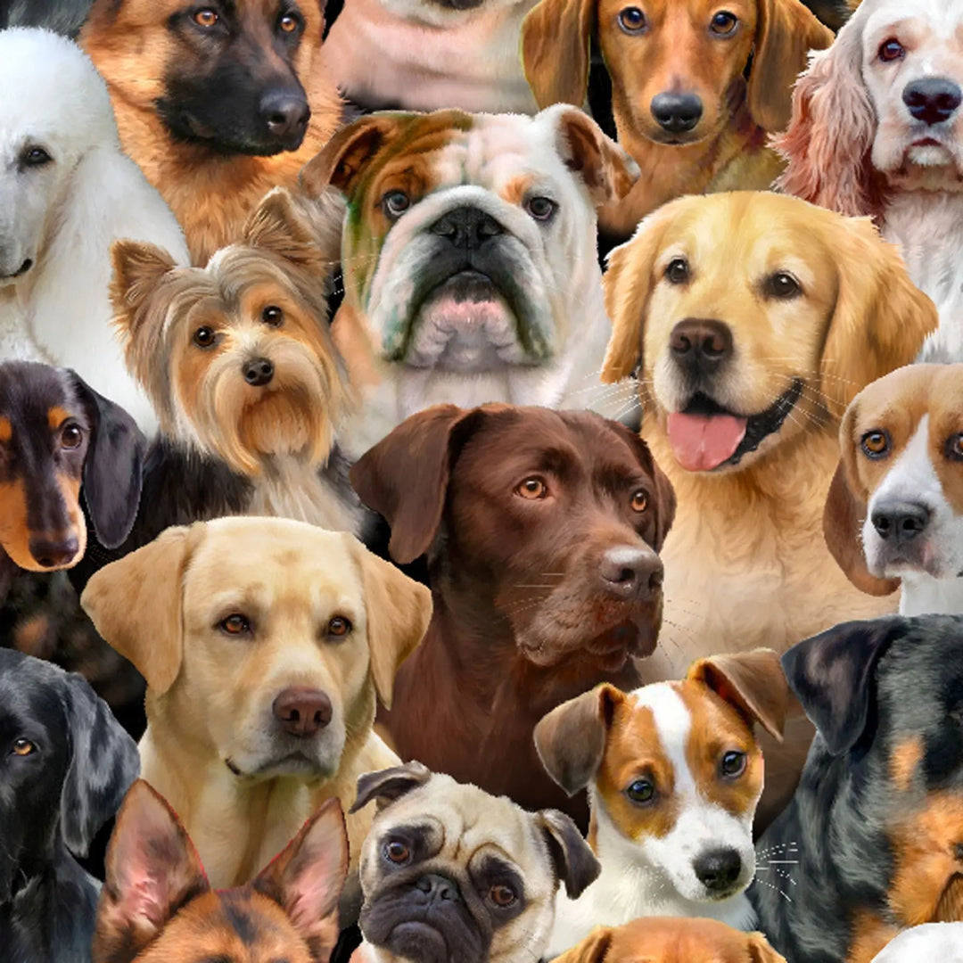 The Gentle Pit Blog The Gentle Pit