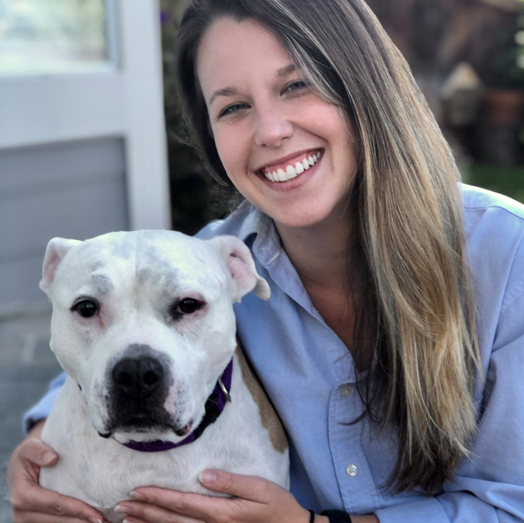 Rescue Stories Blog The Gentle Pit