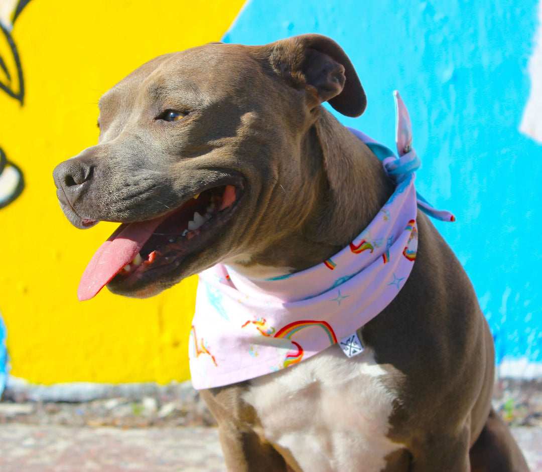 The Gentle Pit Blog The Gentle Pit