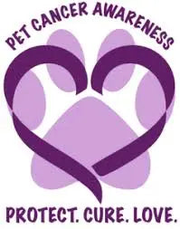 The Gentle Pit Blog The Gentle Pit