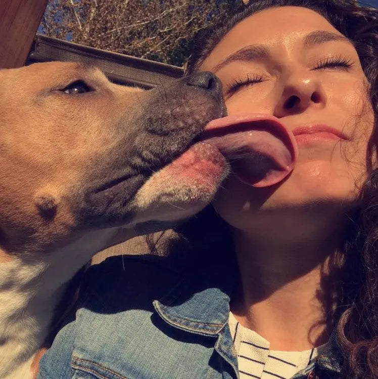 Rescue Stories Blog The Gentle Pit