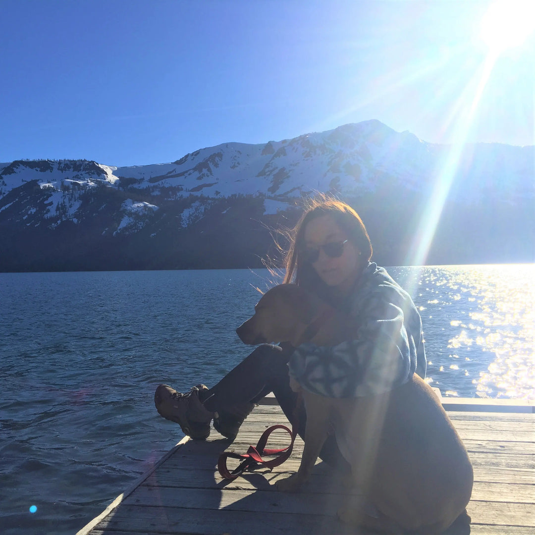 Rescue Stories Blog The Gentle Pit