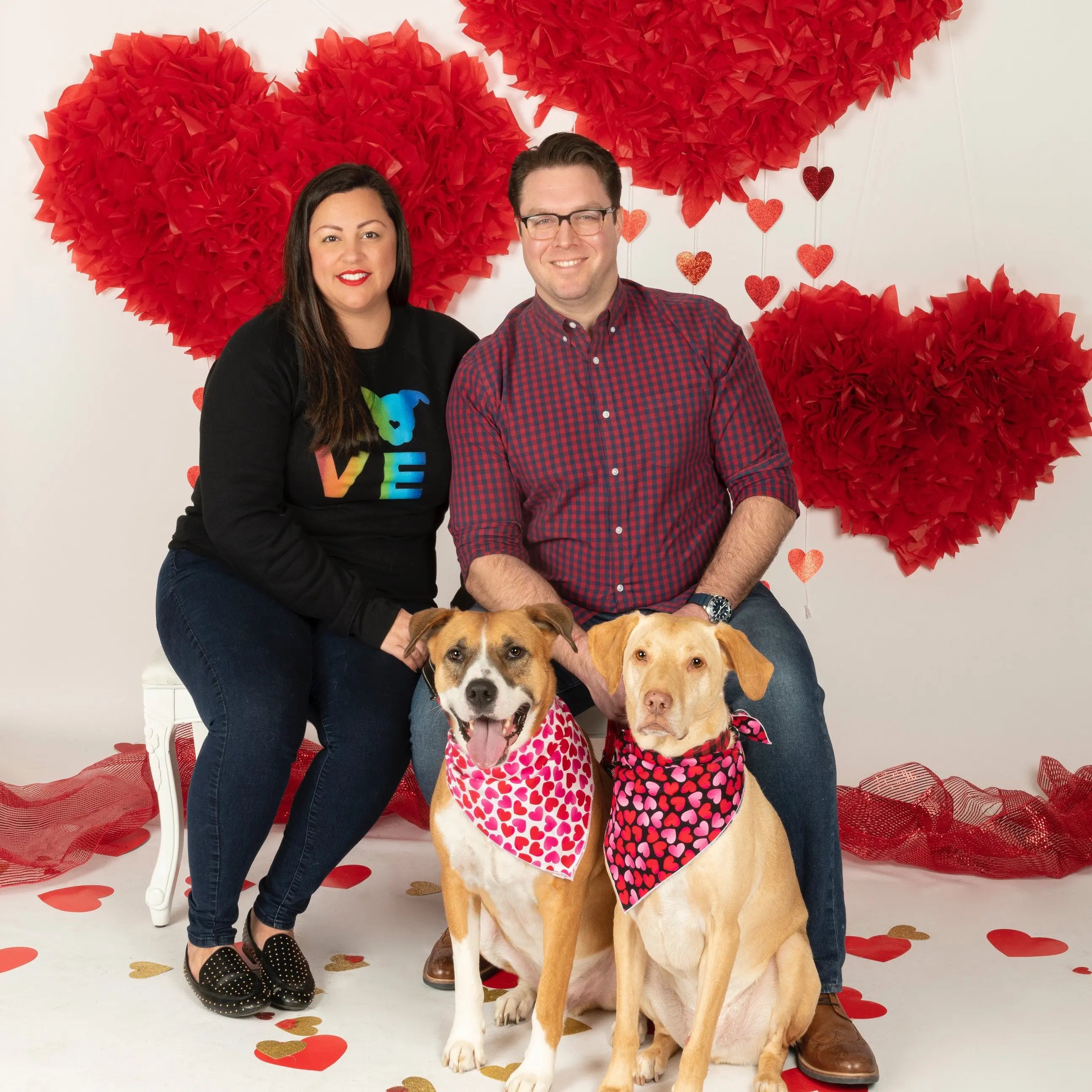 Rescue Stories Blog The Gentle Pit