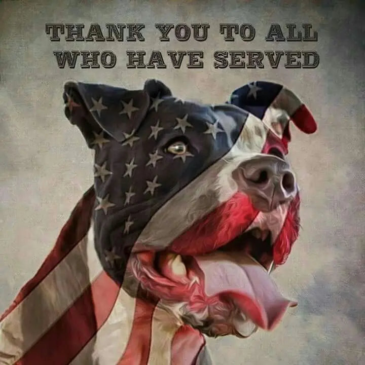 The Gentle Pit Blog The Gentle Pit