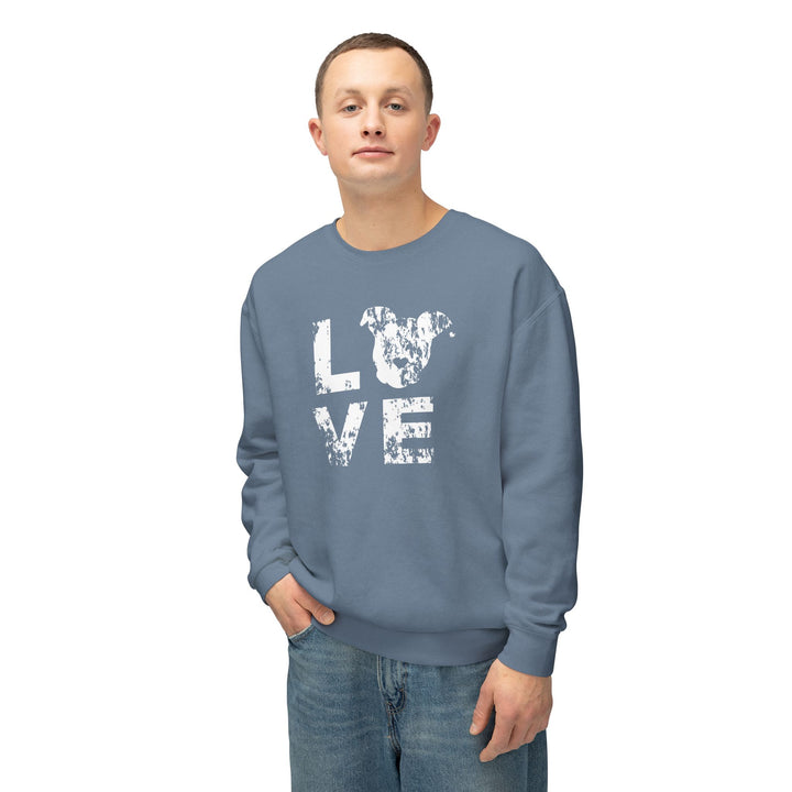 LOVE Distressed Print Unisex Premium Sweatshirt