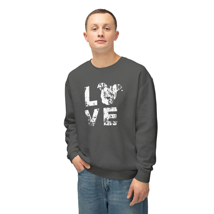 LOVE Distressed Print Unisex Premium Sweatshirt