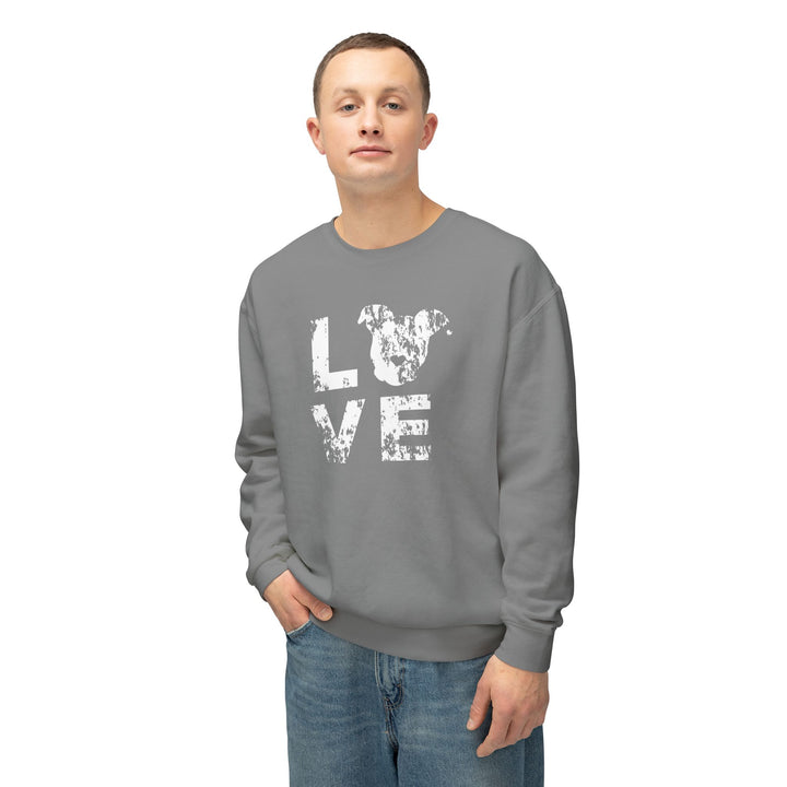 LOVE Distressed Print Unisex Premium Sweatshirt