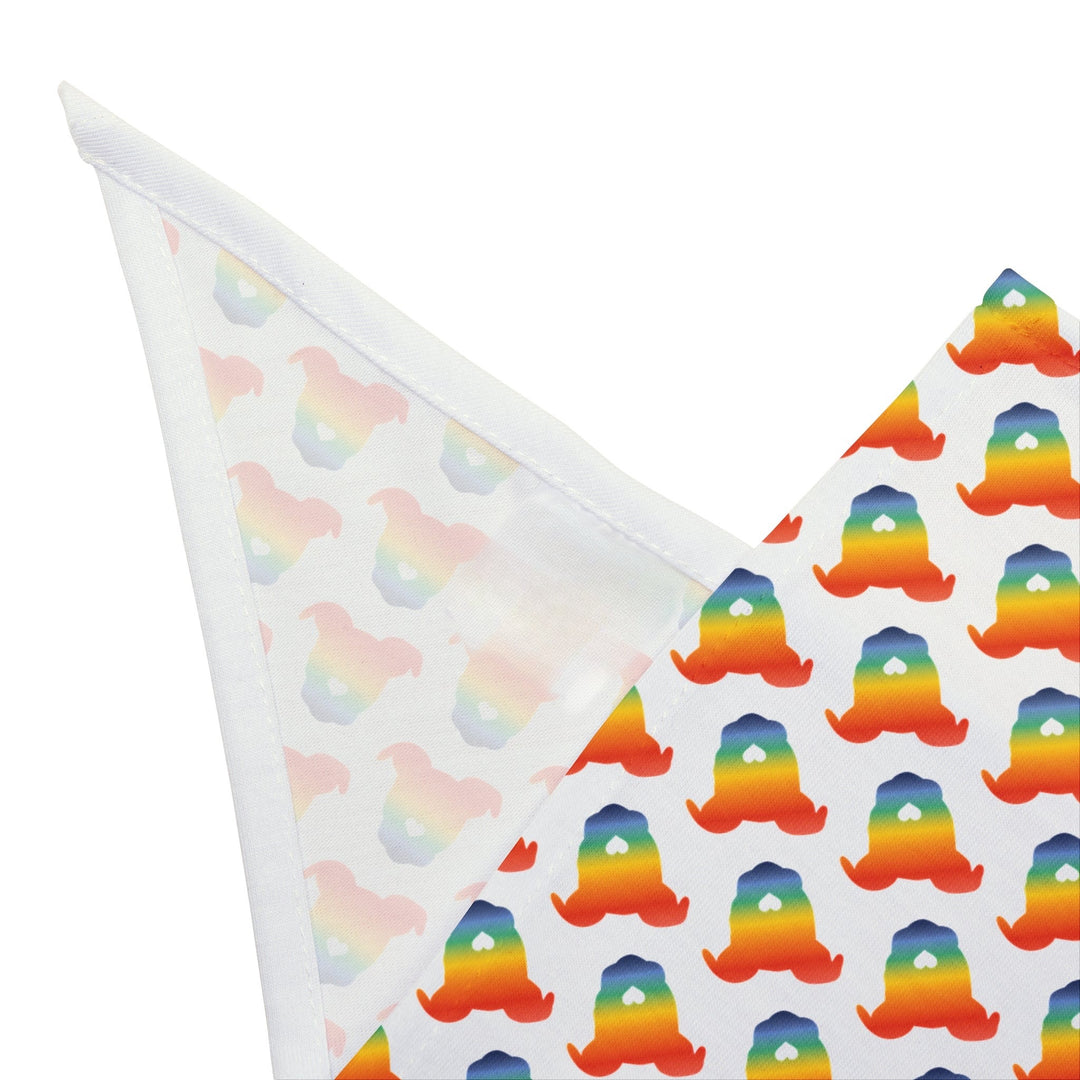 TGP Pattern Rainbow Pet Bandana