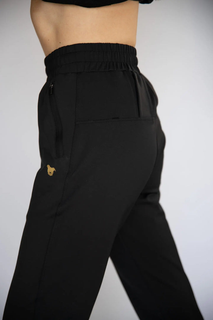 SAMPLE SALE: ALMOSTSlightly LESS THAN Perfect PACK Jogger The Gentle Pit