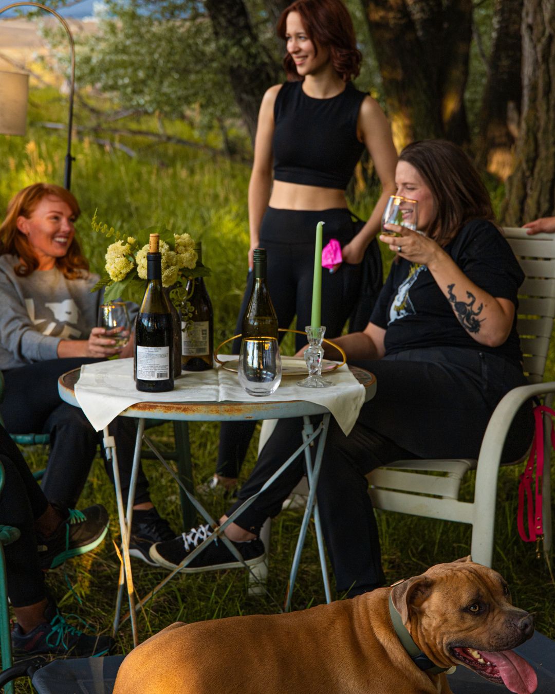 Single Paw Print Gold Rimmed Stemless Wine Glass