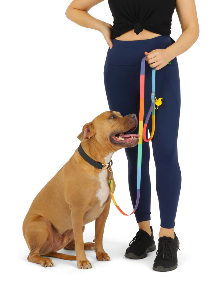 The PACK Legging The Gentle Pit