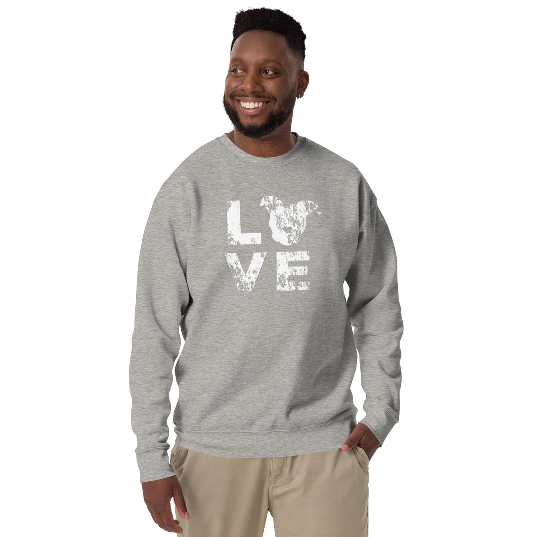 LOVE Distressed Print Unisex Premium Sweatshirt