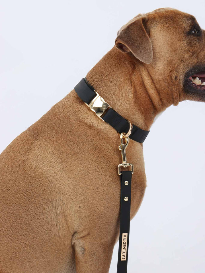 TGP Luxe Dog Collar THE GENTLE PIT