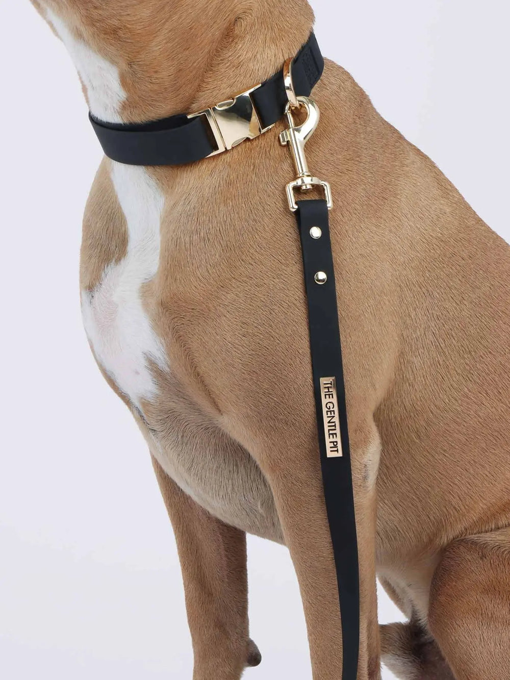 TGP Luxe Dog Collar THE GENTLE PIT