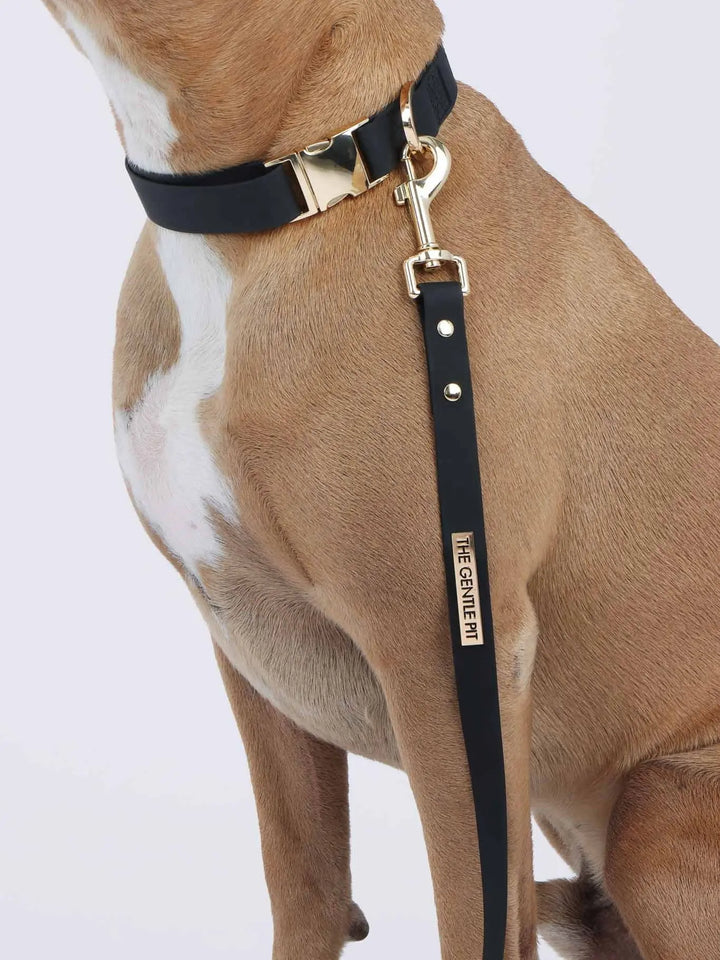 TGP Luxe Dog Collar THE GENTLE PIT