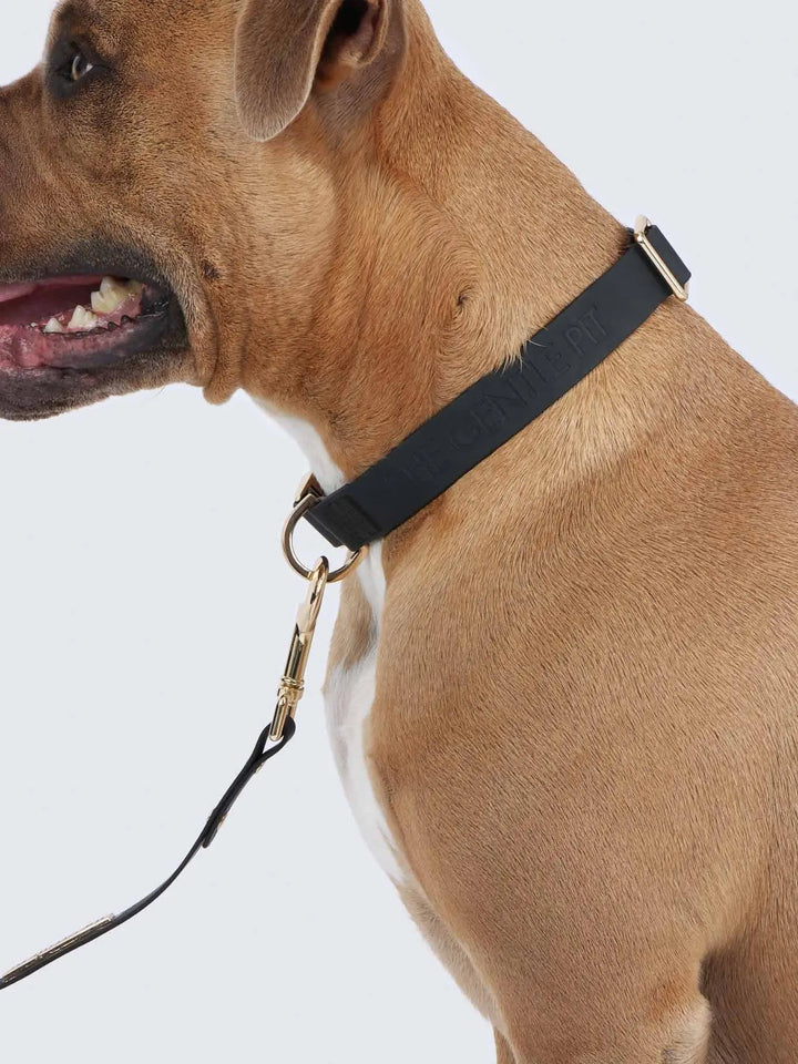 TGP Luxe Dog Collar THE GENTLE PIT