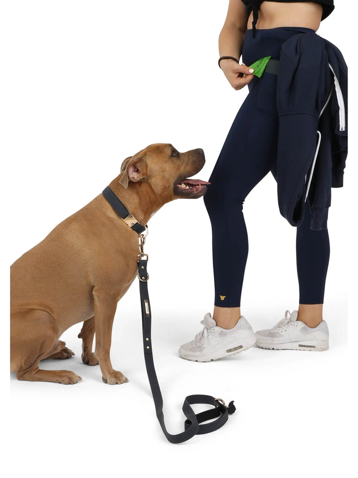 TGP Luxe Dog Collar THE GENTLE PIT