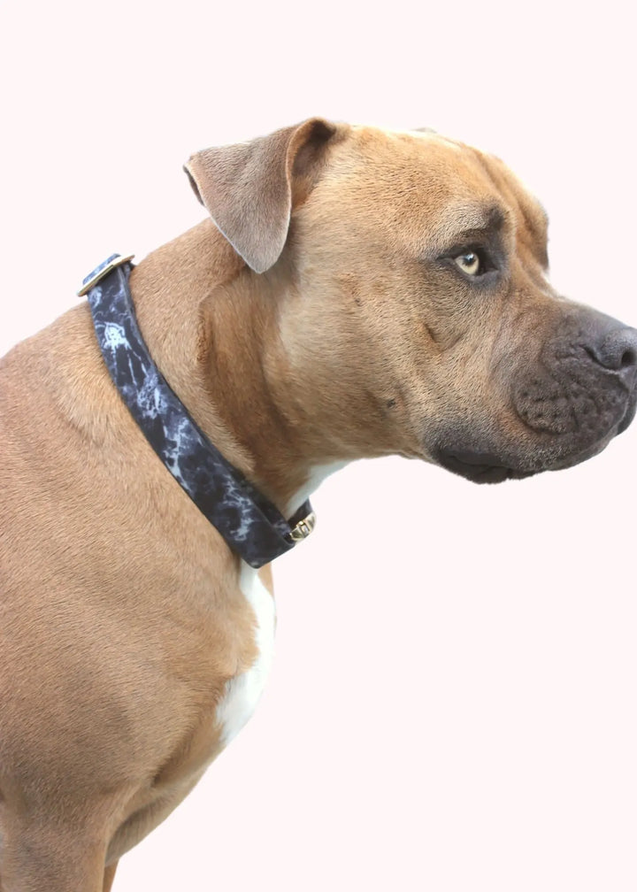 TGP Luxe Dog Collar THE GENTLE PIT