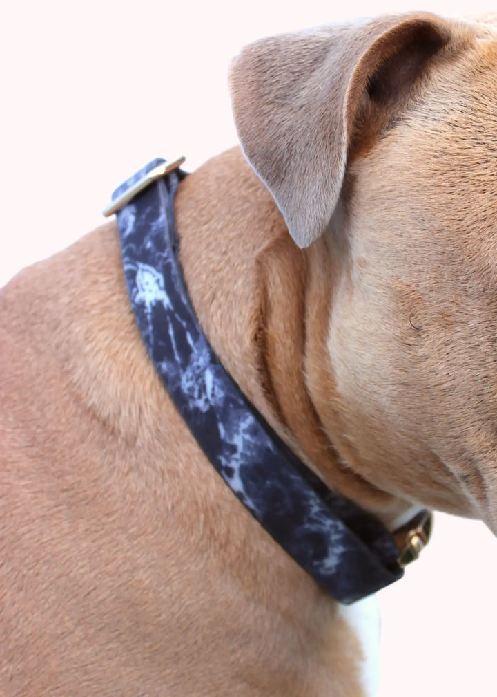 TGP Luxe Dog Collar THE GENTLE PIT