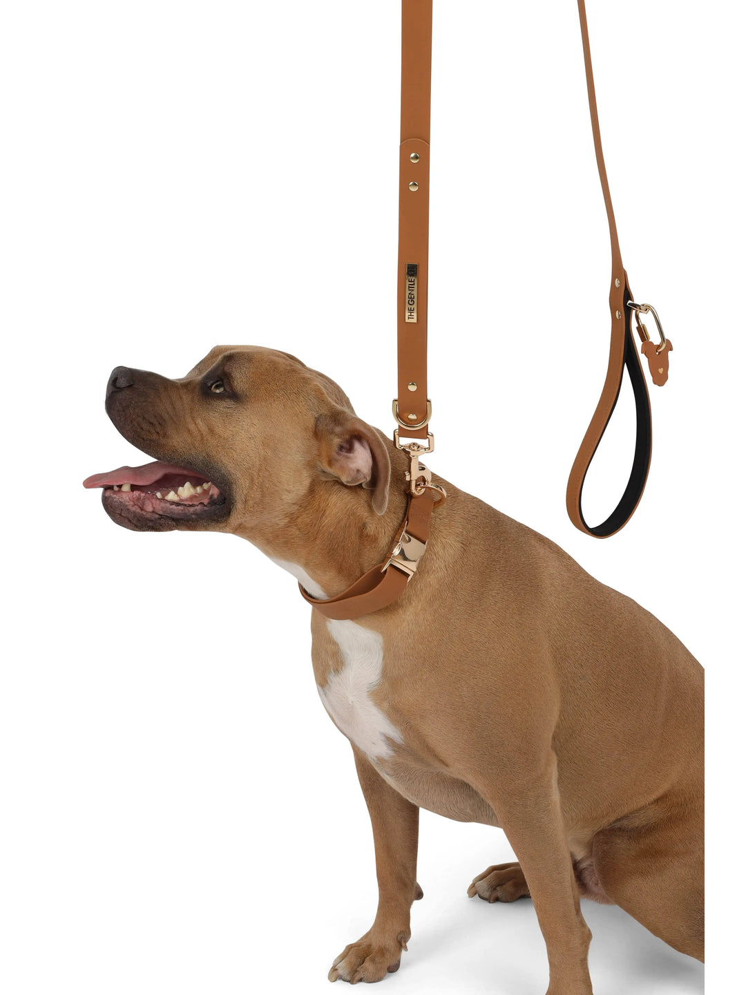 TGP Luxe Leash The Gentle Pit