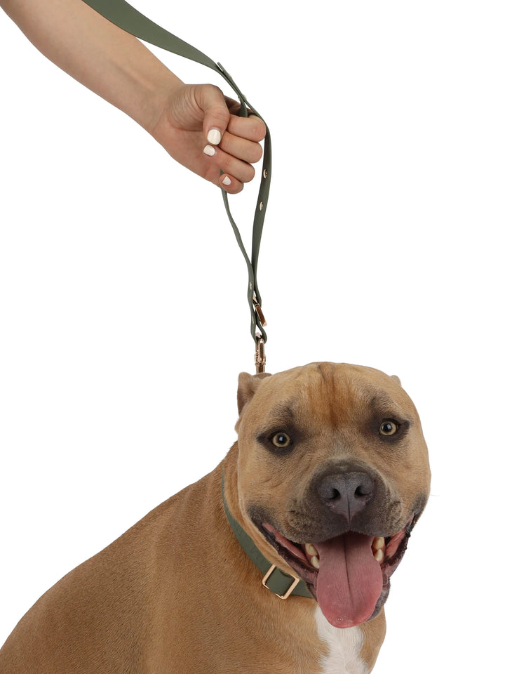 TGP Luxe Leash The Gentle Pit