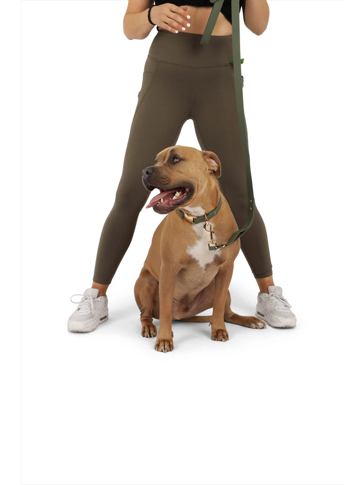 TGP Luxe Leash The Gentle Pit