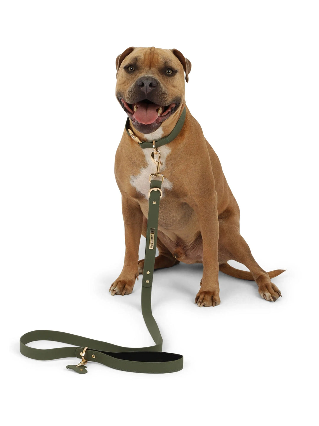 TGP Luxe Leash The Gentle Pit