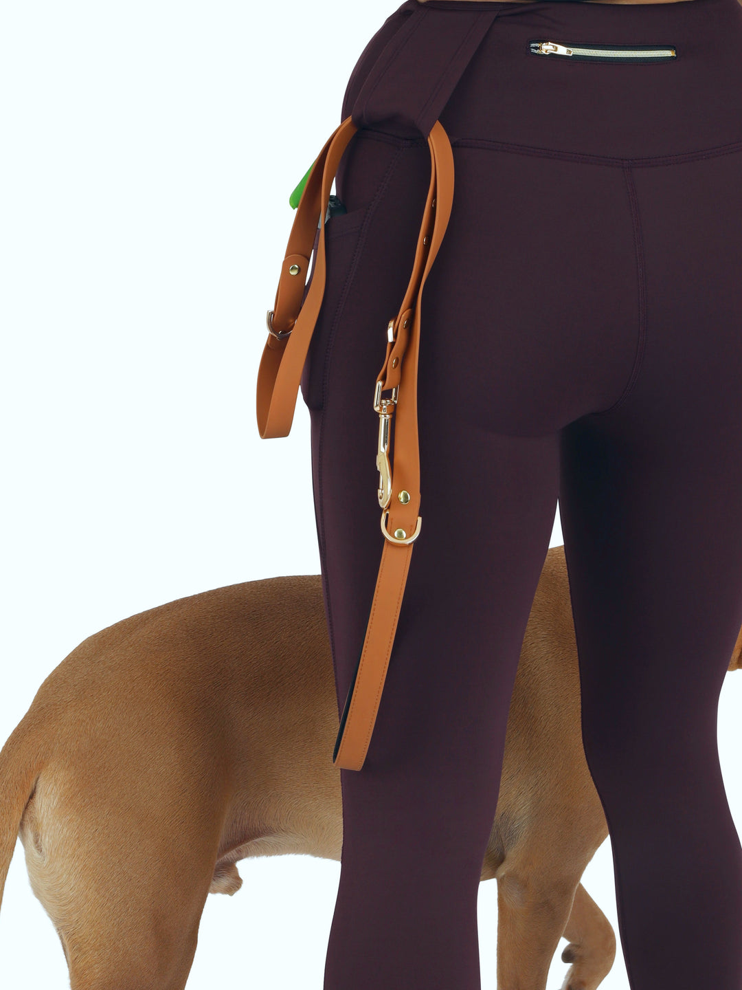 Dog leggings are the thing we didn't know we needed