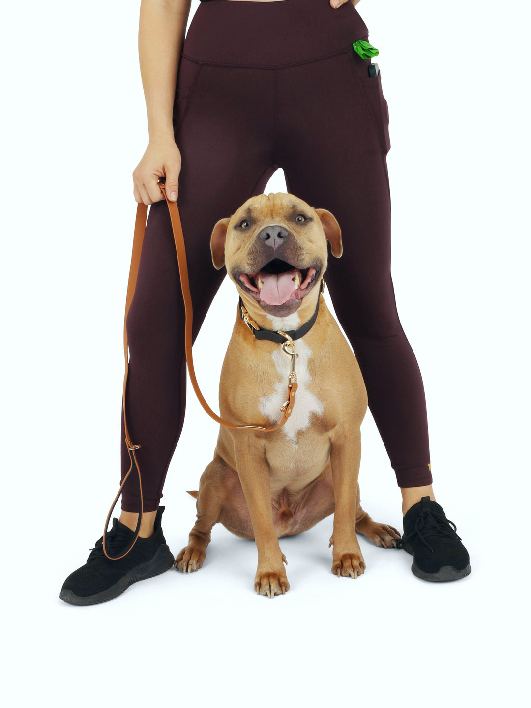 Aggressive Pitbull Dog Head Women's Knee Length Leggings High